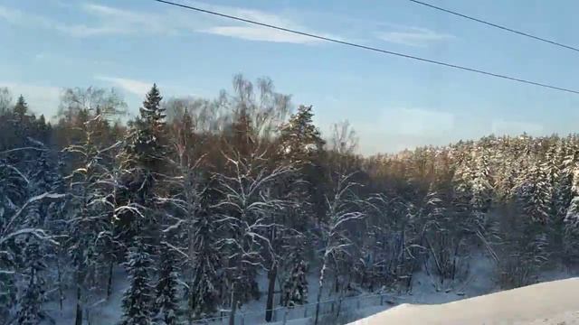 Русская зима из окна электрички