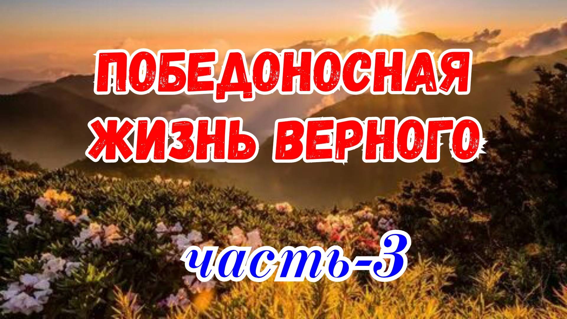 Победоносная жизнь Верного. часть-3. 17.05.25г.