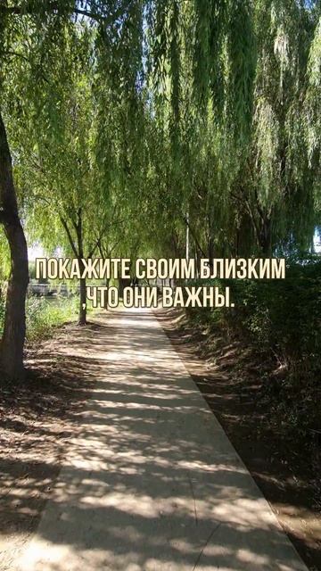 ТО, ЧЕГО НАМ ВСЕМ НЕ ХВАТАЕТ...

#правилажизни
#поверьвсебя 
#психологиядостижений 
#Замалевский