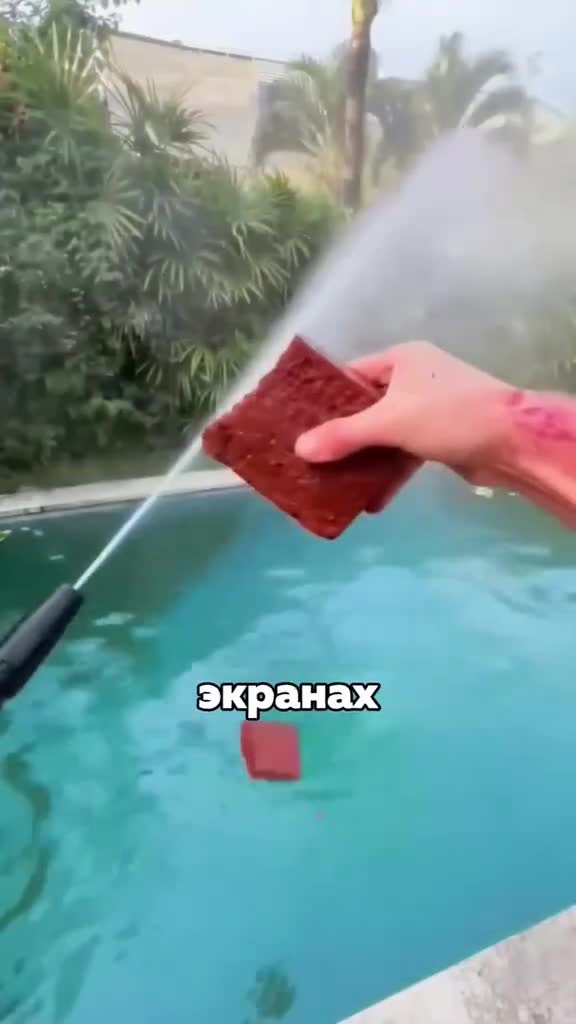 #подмикроскопом #интересно #микроскоп #наука #микромир