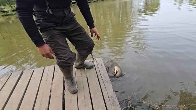17.05.25 г Парк отдыха водопад