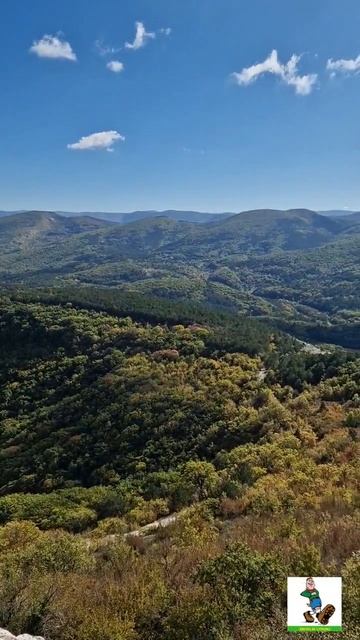 watermarked-20241023_114451_1