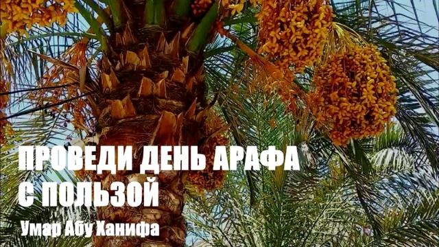 Умар Абу Ханифа - " Проведи день Арафа с пользой"