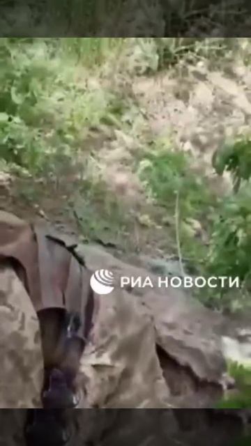 🔥🐷Утилизированы хохляцкие операторы БПЛА под Новомихайловкой в ДНР !!!