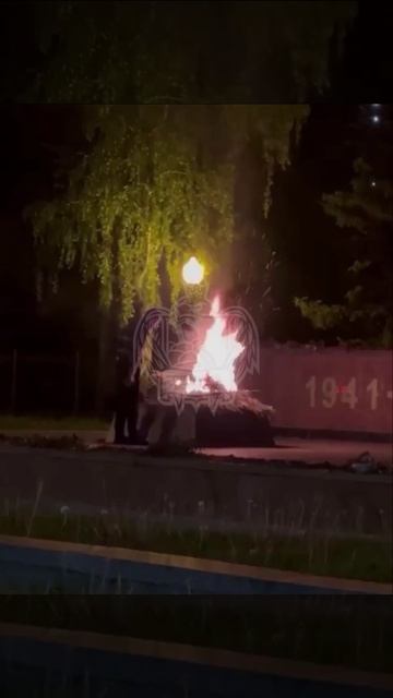 В Воронеже безумец сжег цветы на мемориале и потушил Вечный огонь
