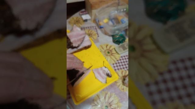 Дегустируем сало  10/02/2025