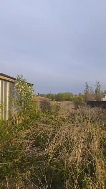 VID-20250517-WA0008