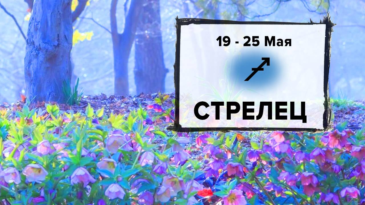 СТРЕЛЕЦ ♐ 19 - 25 Мая 2025 | Расклад таро на неделю для знака Зодиака Стрелец