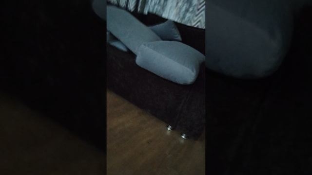 я в бекрумах