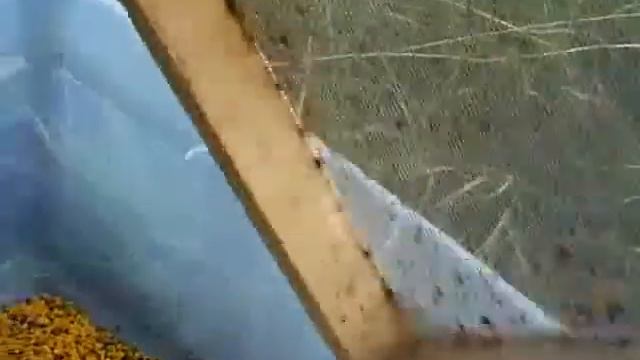 Джон Плата Пчеловодство на английском