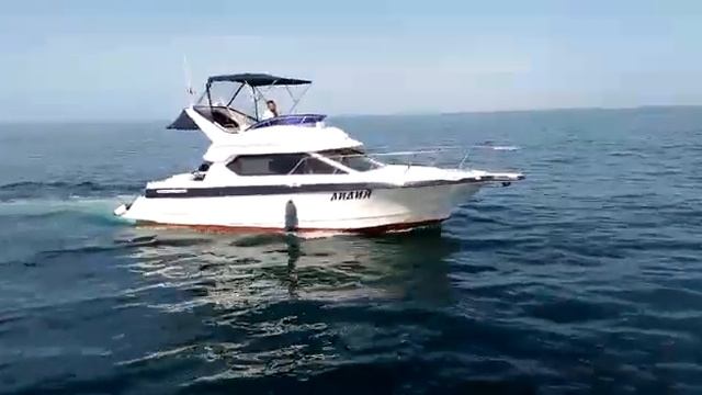 Яхты "Ника" и "Лидия" на морской прогулке