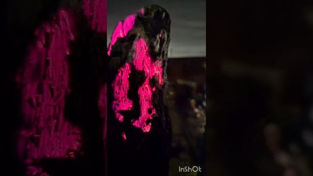 Дух ведуна Емельяна в Живом огне🤯