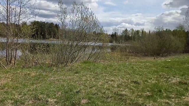 Диск-гольф парк "Званское"  Псков, корзина 14