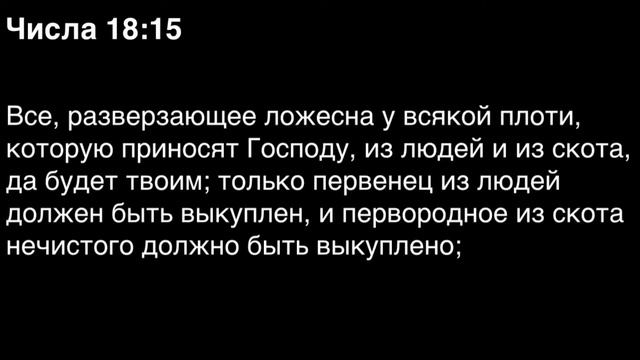 Числа, глава 18