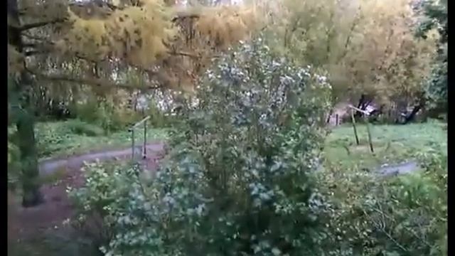 47)  Влог! Прогулка с реборном  Кристиной! 2017 окт