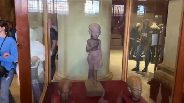 Тайна вытянутых черепов. Как историки скрыли целую расу?
