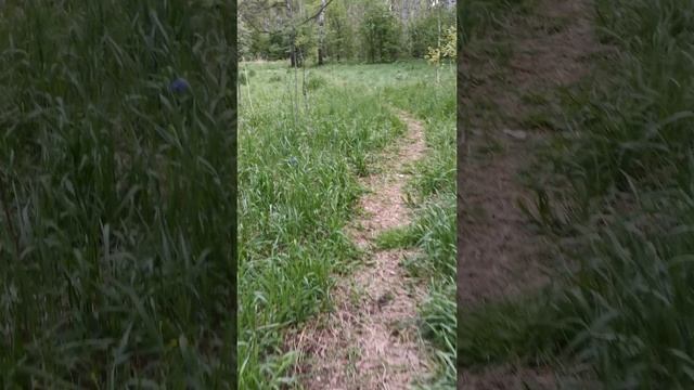 YouCut_20250517_213229600.mp4