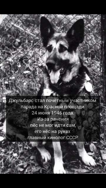 С Днём Победы!!!