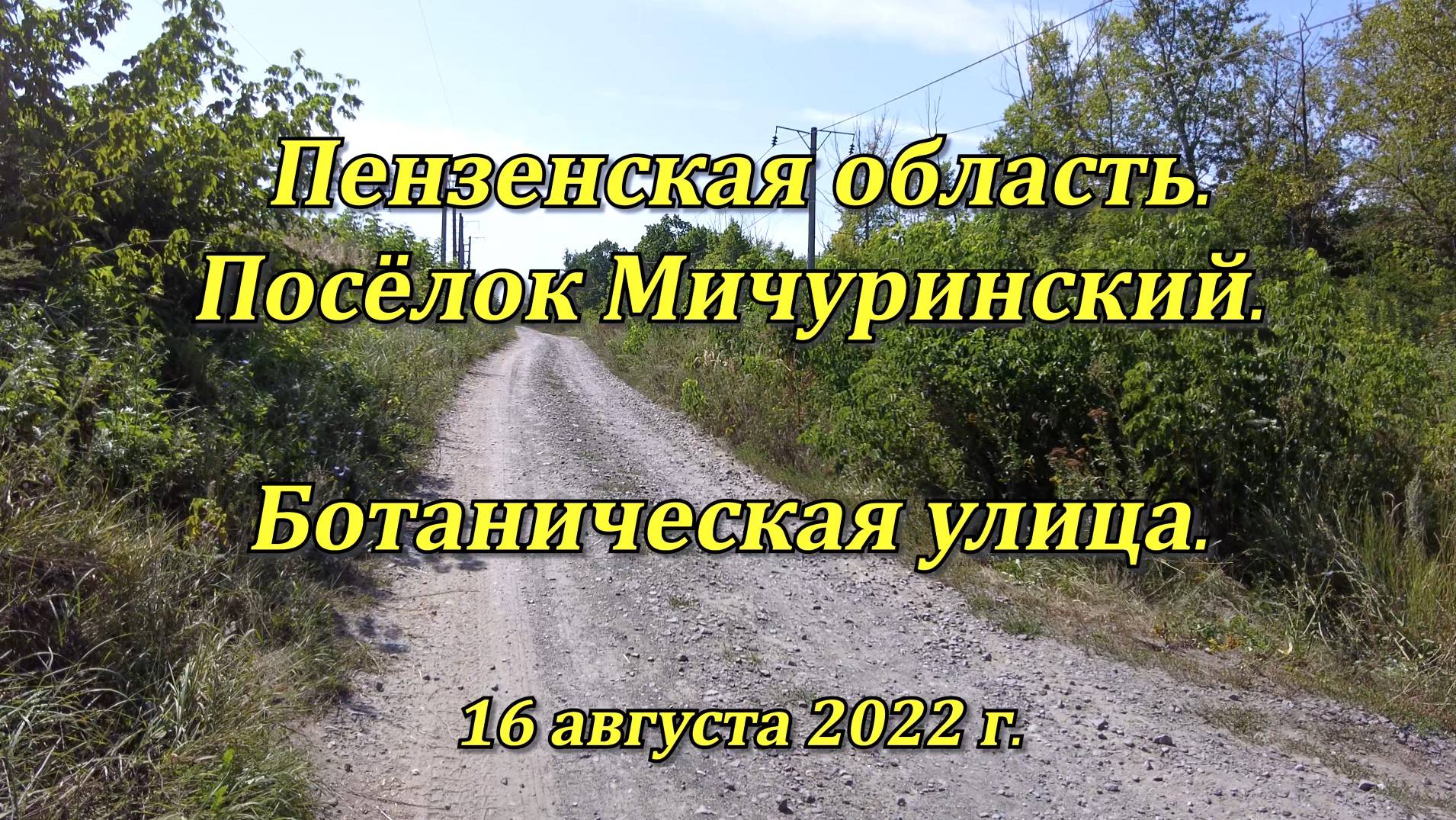 Пензенская область. Посёлок Мичуринский. Улица Ботаническая. 16.08.2022