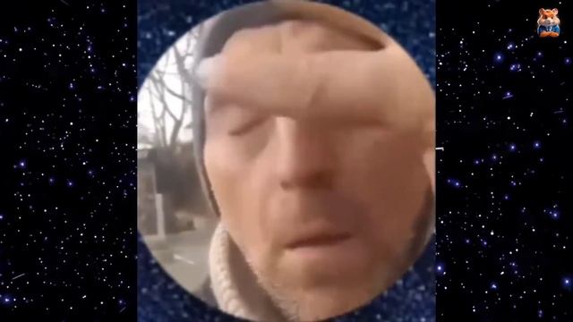 Я РЖАЛ ДО СЛЕЗ 15 Минут ОТБОРНЫХ ПРИКОЛОВ 2024 Смешные видео   Лучшие ПРИКОЛЫ #70