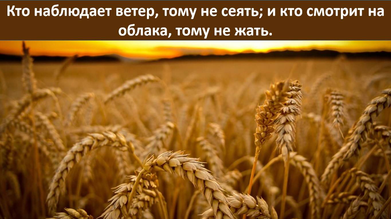 Кто наблюдает ветер, тому не сеять; и кто смотрит на облака, тому не жать. (служение)