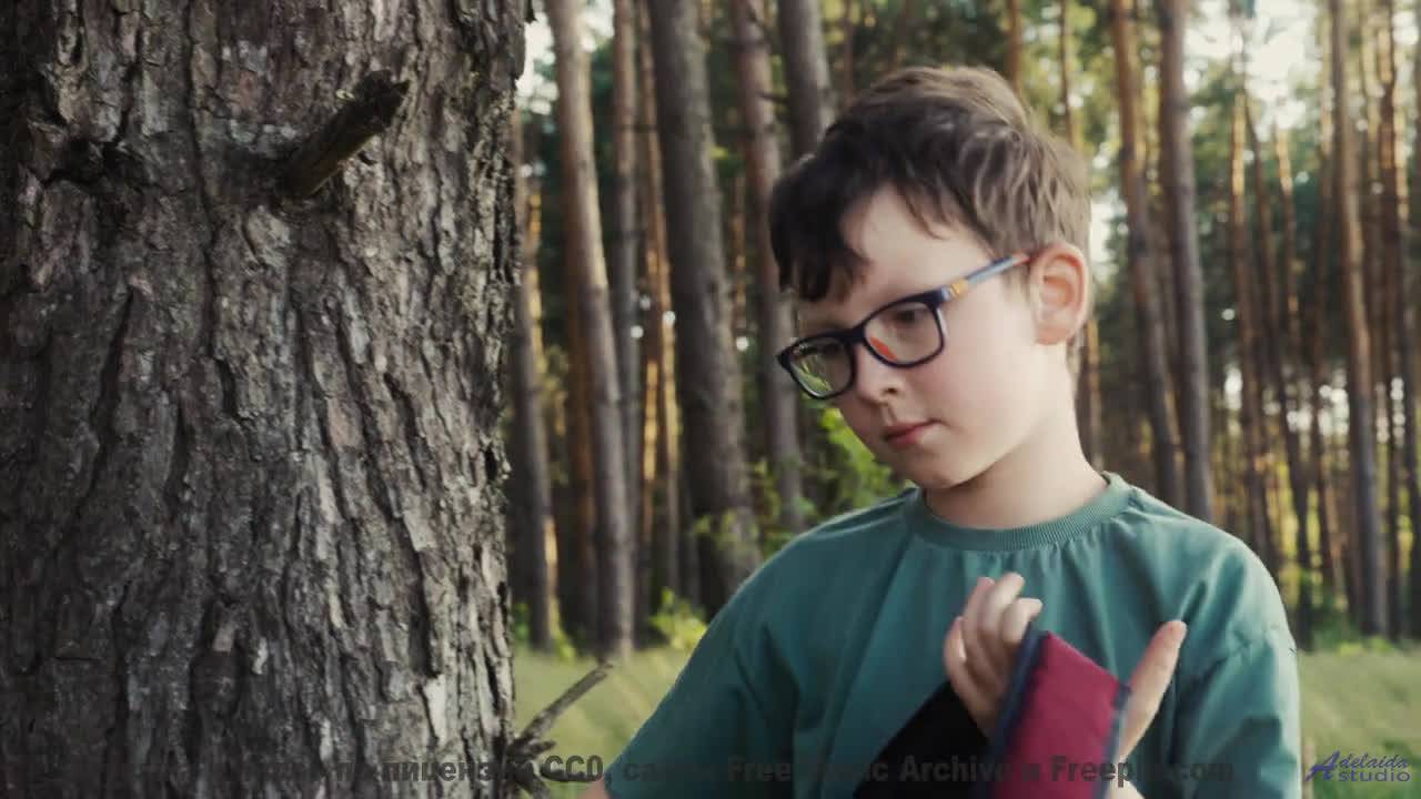Каждая нота ложится на пейзаж точнее кисти художника - Flutterbee -- Podington Bear -- Meet Podingto