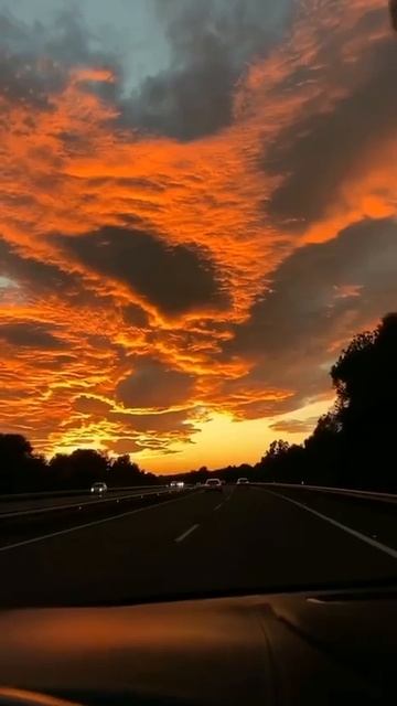 Испания 🇪🇸