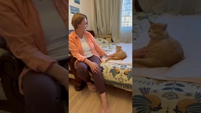 "Украла" кота Рыжика, чтобы сделать счастливым