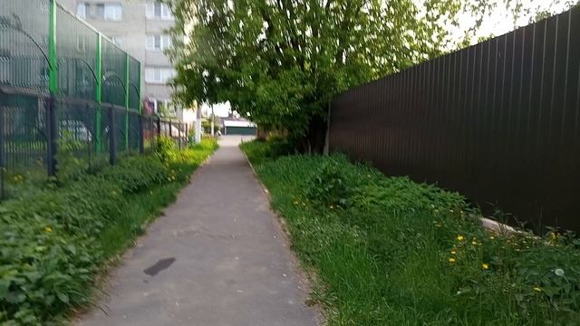 первое видео