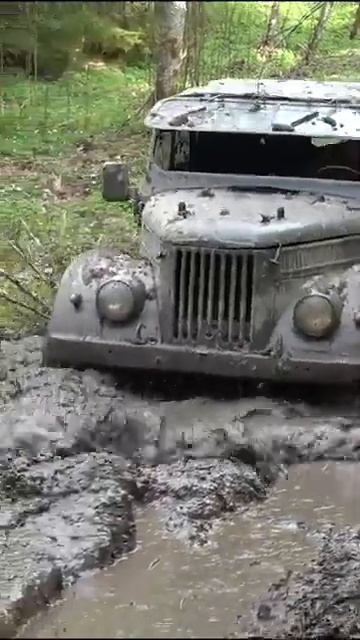 Как вам старичок?