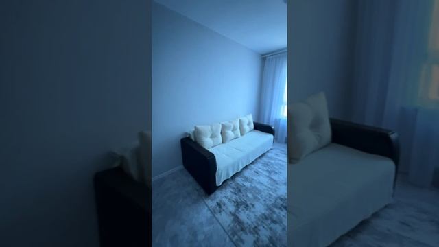 video_2025-05-17_13-06-27