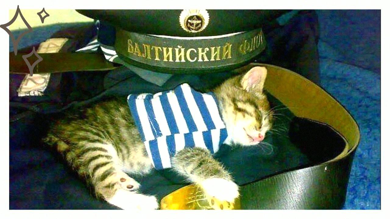 Праздник «День Балтийского флота» или «День Балтийского флота ВМФ» в 2025 году отмечается 18 мая