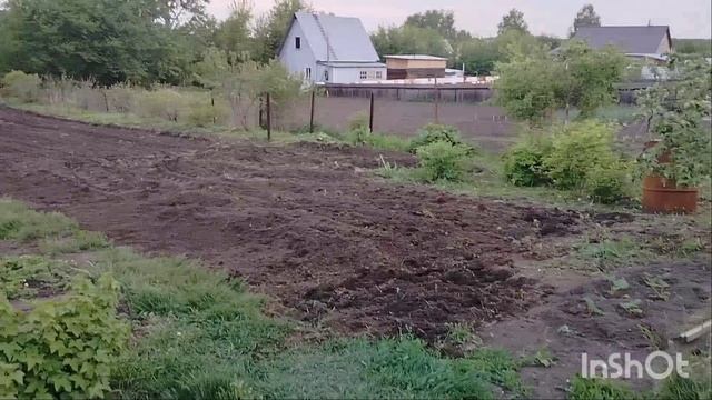 Влог Купила сетку на теплицу/вспахали огород 🏡/Алтайский край