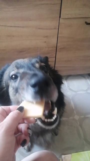 Малыш🤗🤗🤗
