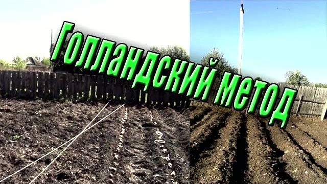 Посадка картофеля в гребни  Голландский метод  Жизнь в деревне
