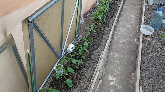 Добрый вечер Суббота 17 мая.