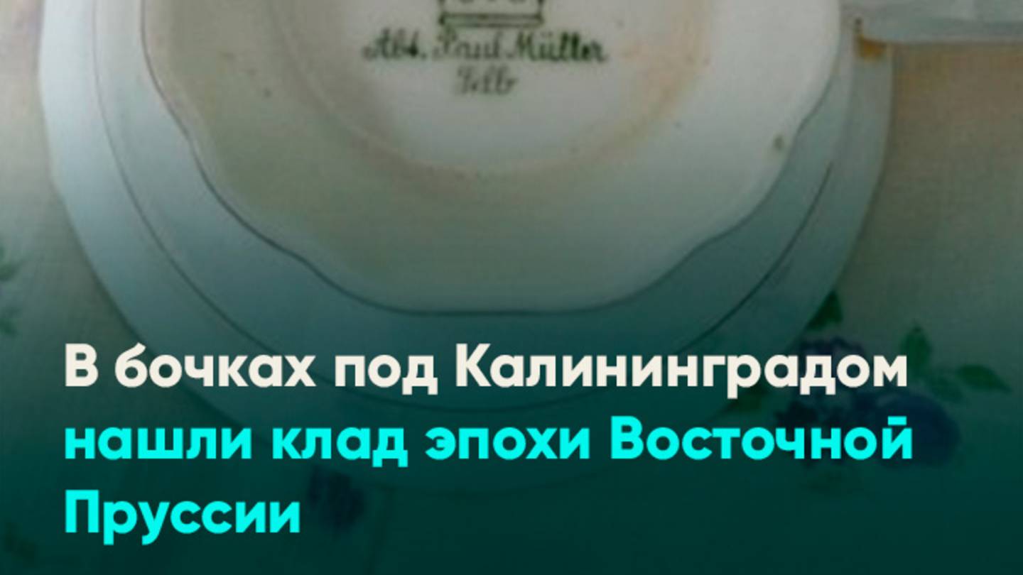 В бочках под Калининградом нашли клад эпохи Восточной Пруссии