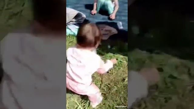 катон-карагай село Берел