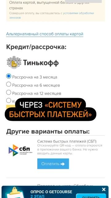 КУРСЫ ГРУМИНГА | РАССРОЧКА | Блэкгрумер