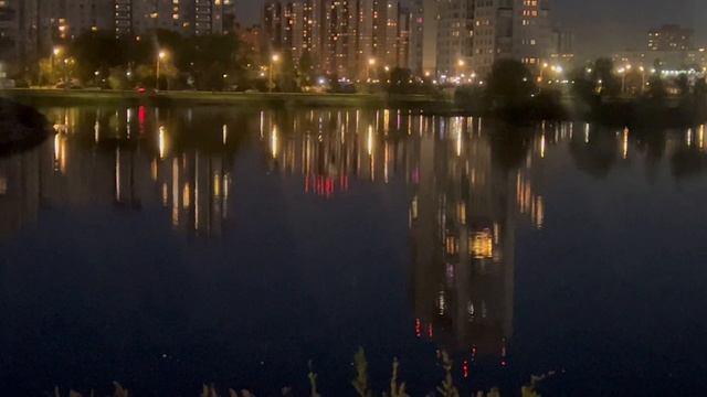 чайки кричали