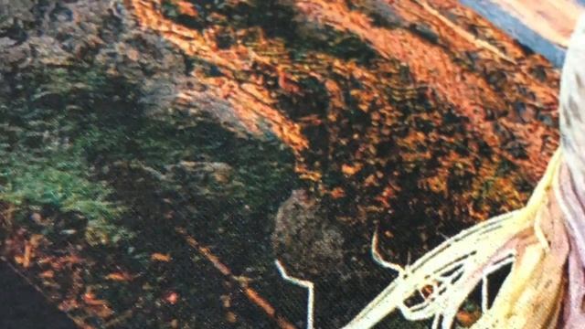 Печать на футболках Эдарт Принт
