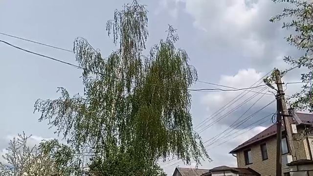 Май цветущий, май стал ласковым