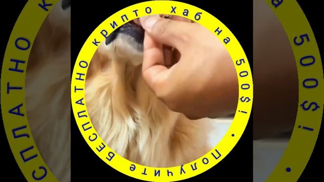 🎁 Криптовалютный Хаб 🎁 500$ USD 🤑 Free