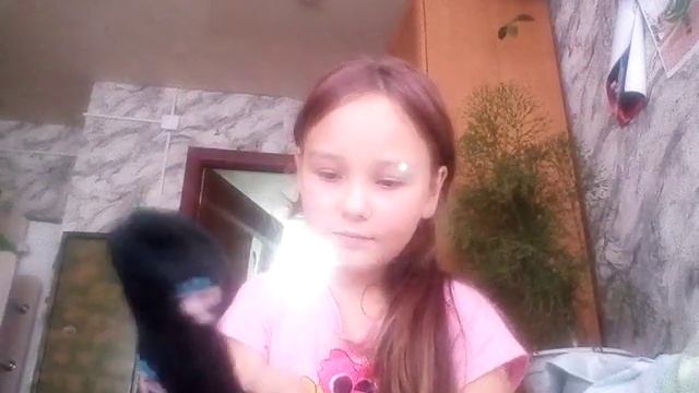 🌿как сделать перчатки из носочков для квадробики 🌿