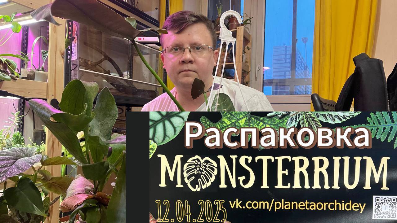 Распаковка Покупок с Монстериум! обзор