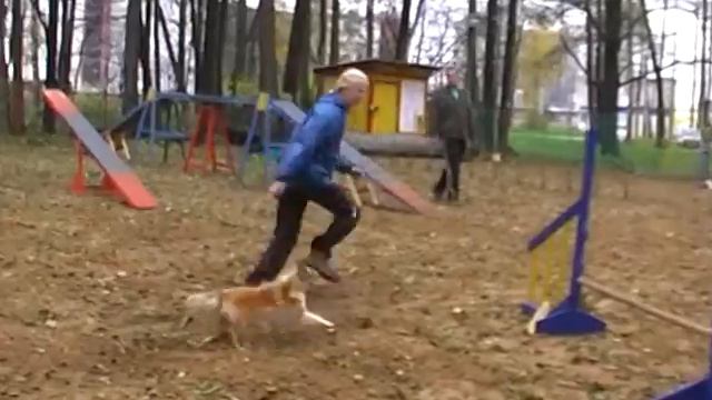 Пионерская 24/10/2010. А-1. Дина.