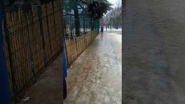 20250111 Птичник на Сухонской, кормим птиц