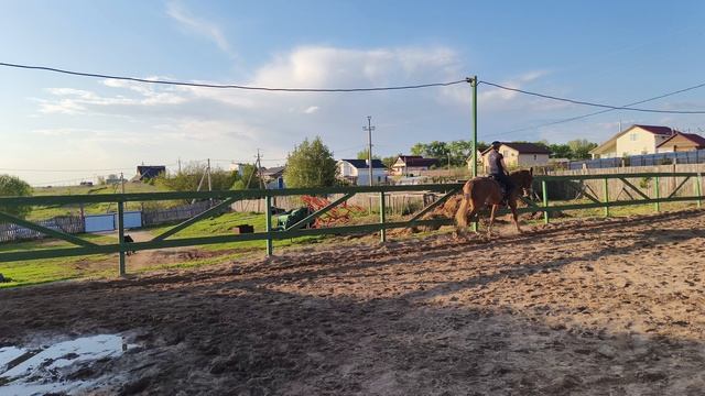 Анна и Каспер, проезд схемы ППДА на плацу.