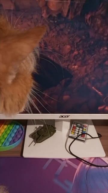 Пушистенький помощник стримера🐱🐈✨😊🙏🏼🎙️🎧🎮