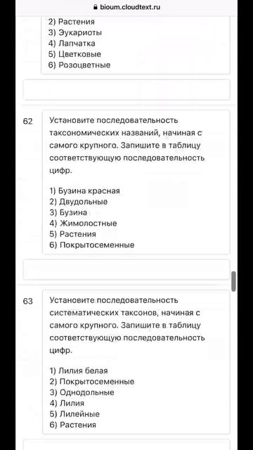 Домашнее задание на курсе